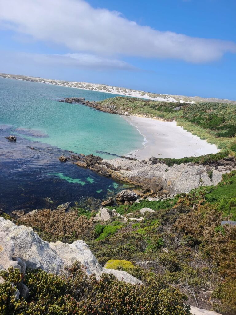 4AFDF780 F6DE 4FFE BB7E 2715C59FDB1B 2 Letty Tours