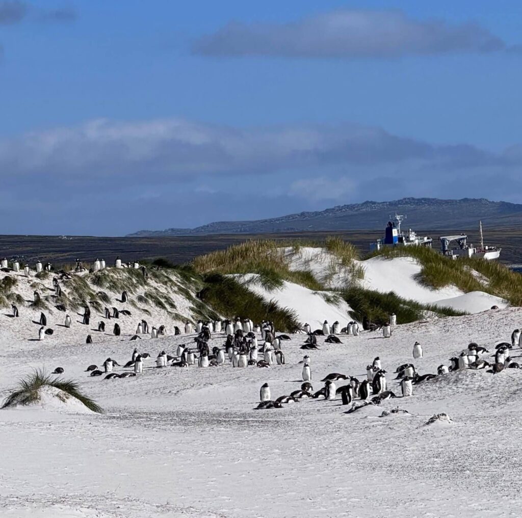 C2081706 444C 4B25 B53C 8364CAA7F696 1 Letty Tours