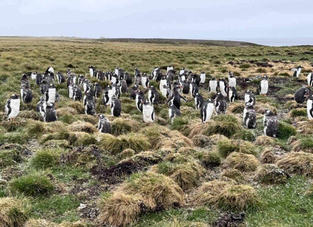 IMG 0257 Letty Tours