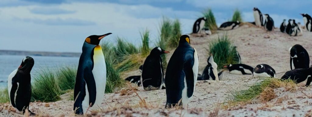 WhatsApp Image 2025 11 12 at 22.11.22 1 scaled e1765995596574 Letty Tours