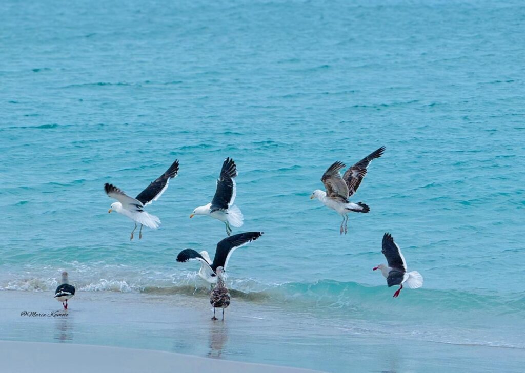 23176581 1d77 454d aacd 86d5028c7eb6 Letty Tours