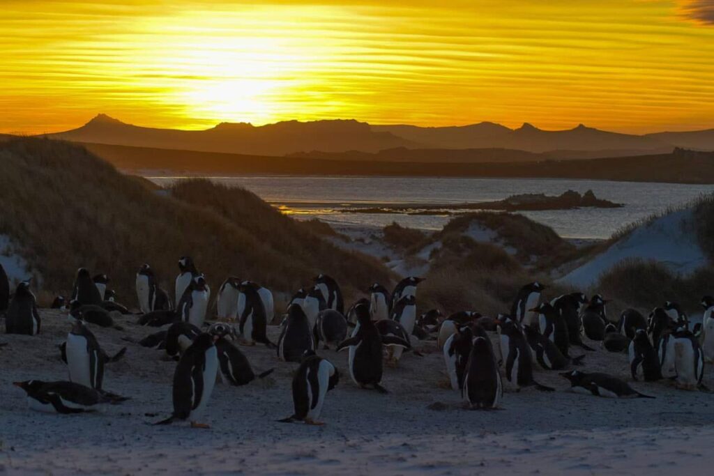 PHOTO 2025 12 19 12 00 11 Letty Tours